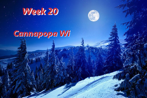 Cannapopa-Wi