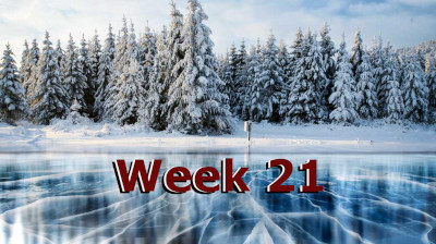 week 21